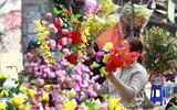 Hấp dẫn chợ hoa Hàng Lược ngày cận Tết